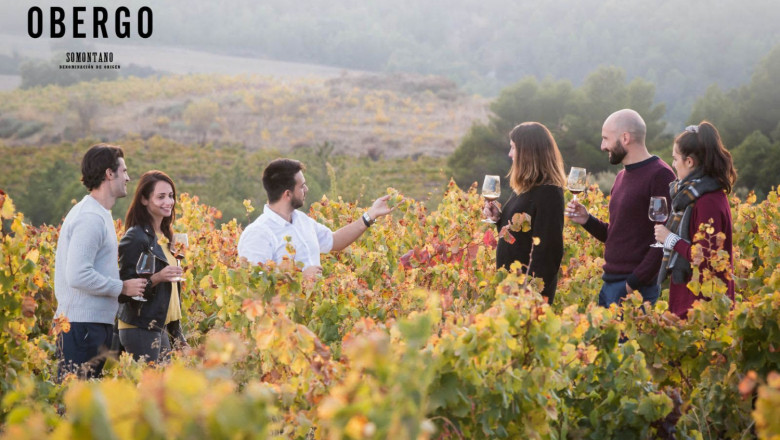 1643959442 enoturismo 