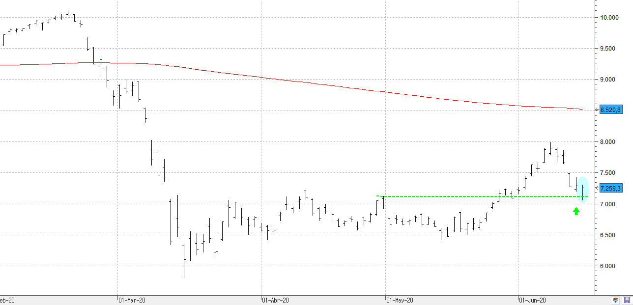 c150620ibex