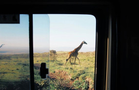 ep africa
