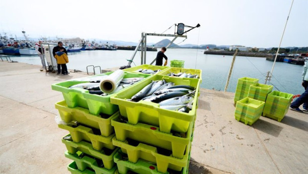 ep archivo   cajas de pescado en el puerto de santona a 25 de marzo de 2022 en santona cantabria