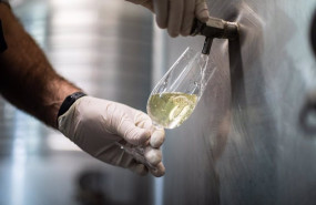 ep archivo   un trabajador de una empresa con una copa de vino blanco