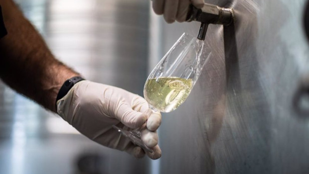 ep archivo   un trabajador de una empresa con una copa de vino blanco