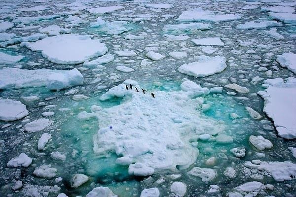 Greenpeace pide un Santuario Antártico tres veces el tamaño de España | GREENPEACE ep greenpeace pidesantuario antartico tres vecestamanoespana