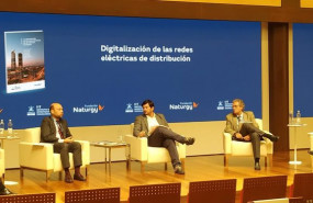 ep imagen del webinar en el que se presento el informela digitalizacion de las redes electricas de