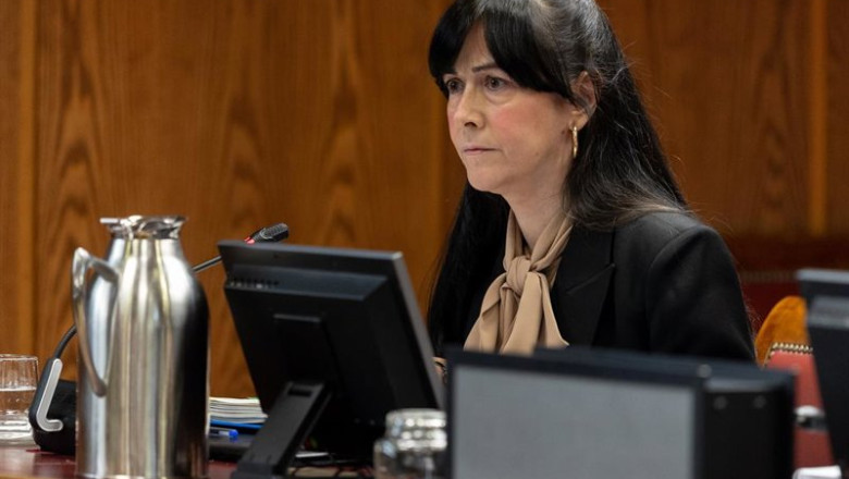 ep la presidenta de la sociedad estatal de participaciones industriales sepi maria belen gualda