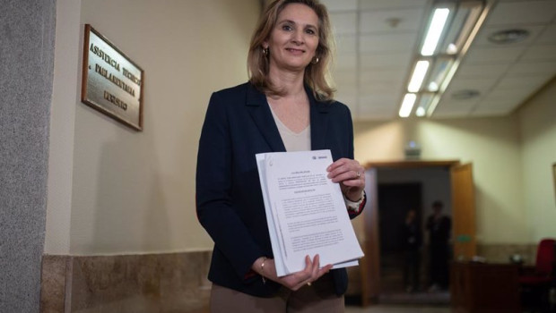 ep la vicesecretaria de desarrollo sostenible del pp paloma martin en el senado