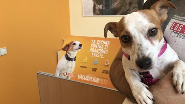 ep maggie protagonistala campanarefugio