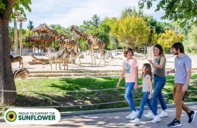 ep parques reunidos adopta el girasol apoyando a las discapacidades no visibles en once de sus
