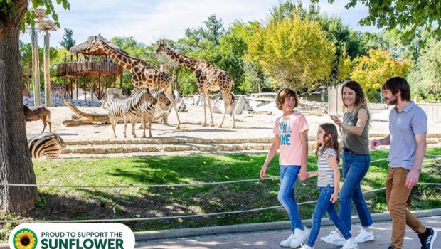 ep parques reunidos adopta el girasol apoyando a las discapacidades no visibles en once de sus