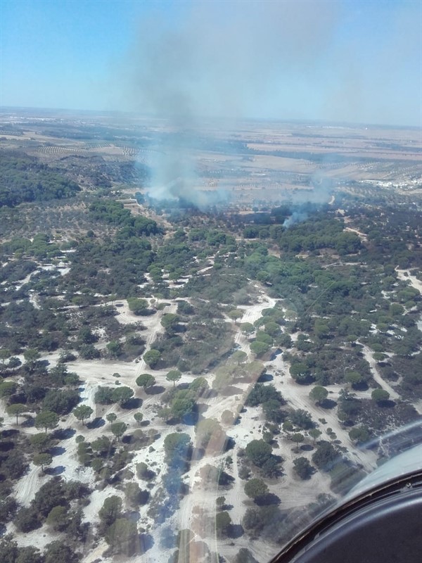 ep un incendio declarado en lucena del puerto huelva