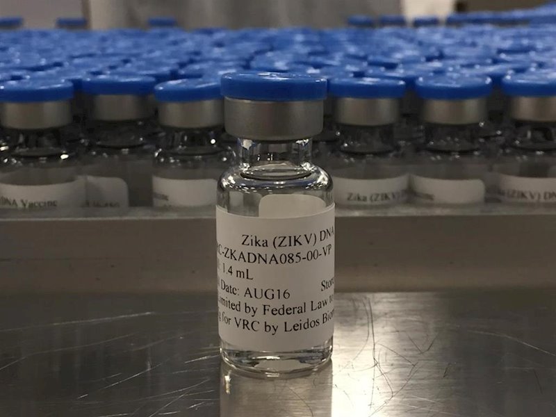 ep vacuna experimental contra el zika probada en monos