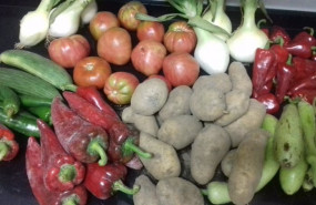 ep verduras de huerta