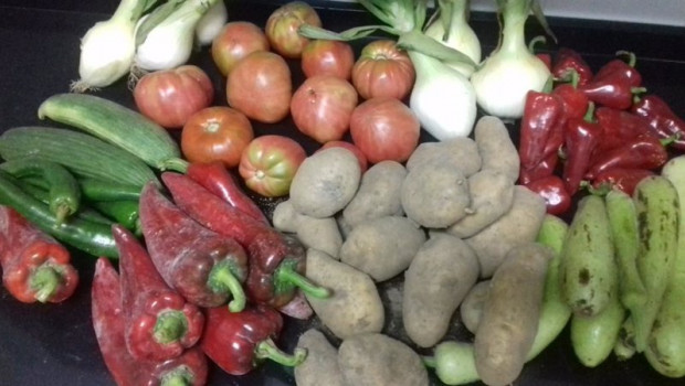 ep verduras de huerta