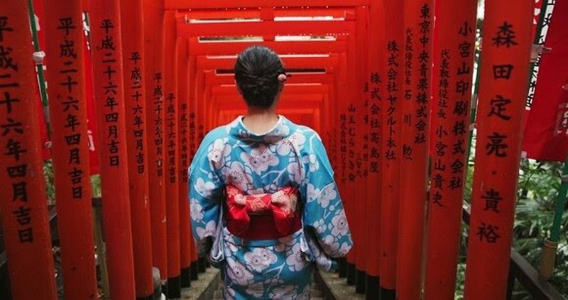 Woman, Japanese and temple or back for traditional culture for respect Tokyo travel, spirituality or history. Female person, kimono and walking staircase at shinto building, worship peace or explore | PEOPLEIMAGES ep woman japanese and temple or back for traditional culture for respect tokyo travel spirituality