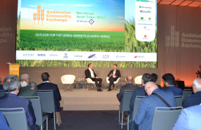 foro ace 2025 
