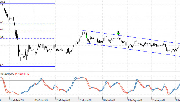 ibex041120