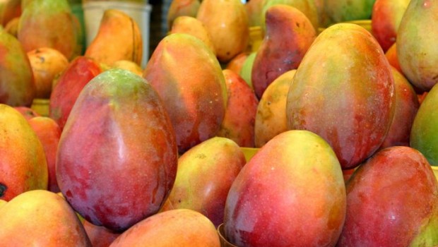 mangos fruto