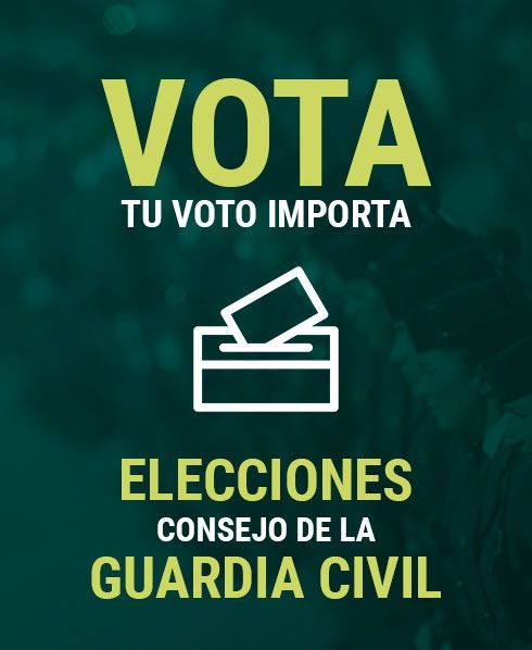 1634137737 elecciones consejo 2021