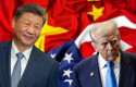 dl trump xi donald trump us president xi jinping china president composite image dl trump xi donald trump us president xi jinping china president composite image