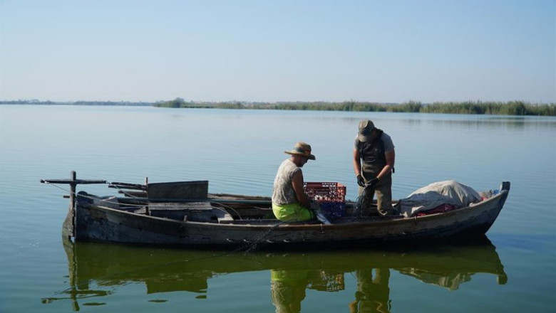ep archivo   trabajos de pesca realizados en octubre del pasado ano en lalbufera para recopilar