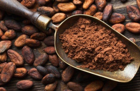 ep cacao 20200428123304