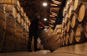 ep comportamiento extraordinario de las exportaciones de rioja en 2024 con un crecimiento de 442