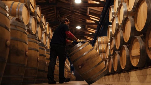 ep comportamiento extraordinario de las exportaciones de rioja en 2024 con un crecimiento de 442