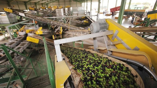 ep cooperativas agro-alimentarias denuncia la decision de bruselas sobre el almacenamiento privado