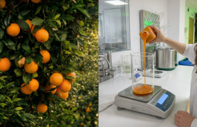 makfood campo 20260224105716 