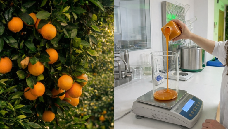 makfood campo 20260224105716 