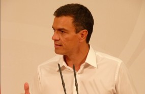 pedro sanchez psoe
