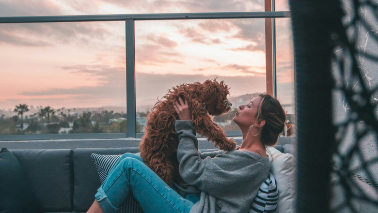 roberto nickson  jgvvefbtvq unsplash 