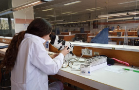 zeiss dona lentes oftlmicas para la formacin universitaria de futuros pticos 2 zeiss dona lentes oftlmicas para la formacin universitaria de futuros pticos 2