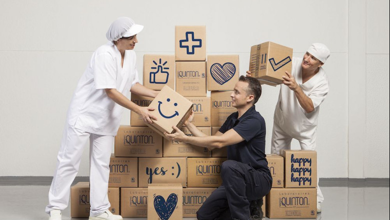 1238399 quinton equipo