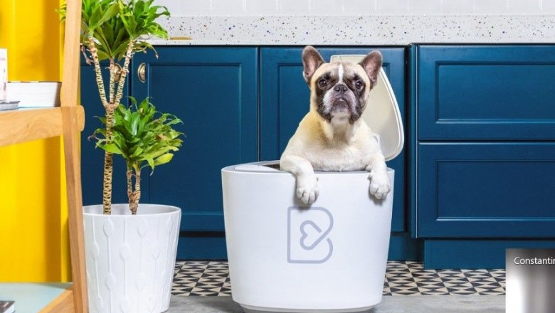 1612183403 barkyn home 9