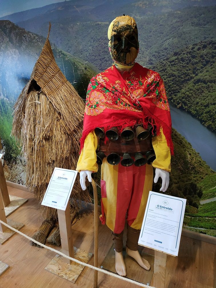 1645529322 volante y coroza2