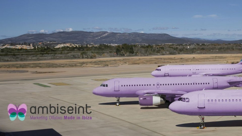 ambiseint 20230622150022