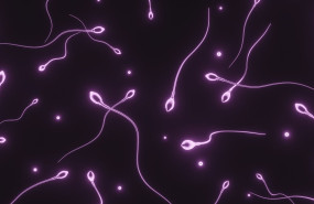 donacion semen en tamano grande