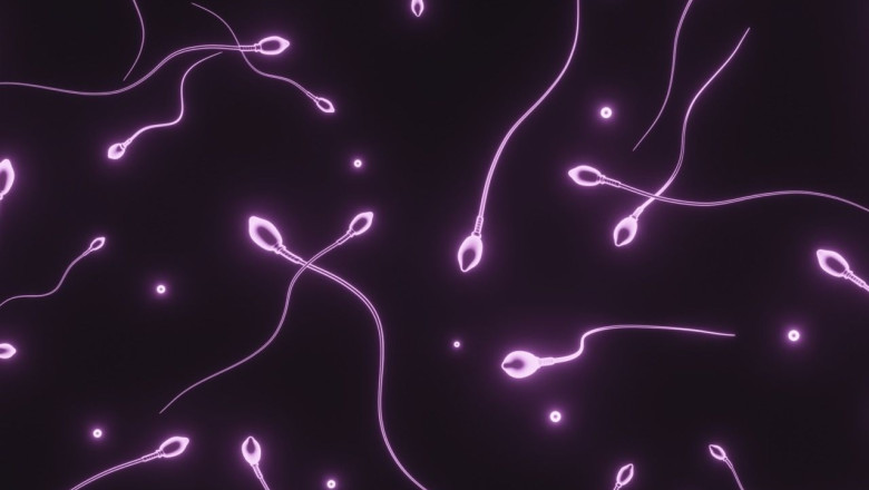 donacion semen en tamano grande