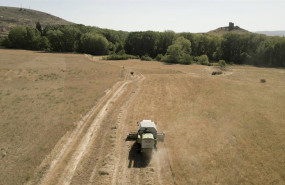 ep archivo   el tribunal de cuentas europeo asegura que la innovacion agricola no se fomenta lo