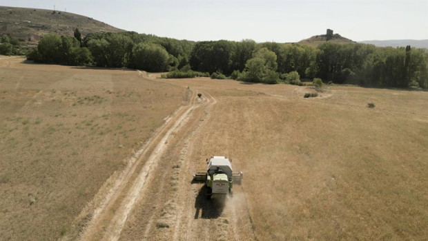 ep archivo   el tribunal de cuentas europeo asegura que la innovacion agricola no se fomenta lo