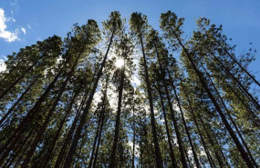 ep archivo   smurfit kappa establece nuevos objetivos en materia de sostenibilidad con better planet