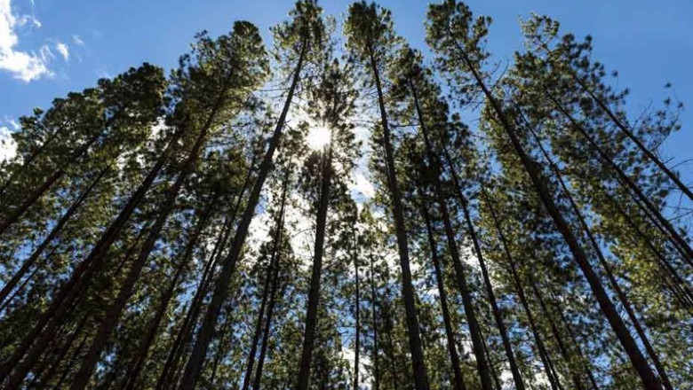 Archivo - Smurfit Kappa establece nuevos objetivos en materia de sostenibilidad con Better Planet 2050 | Smurfit Kappa - Archivo ep archivo smurfit kappa establece nuevos objetivos en materia de sostenibilidad con better planet