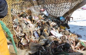 ep barcosarrastremediterraneo extraen basura marinaecoalftejido 20180901145002