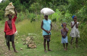 ep campesinoszona ruralhaiti verretes