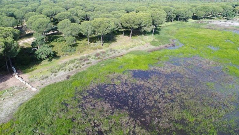 Doñana en una imagen de archivo | HEINEKEN ep donana en una imagen de archivo