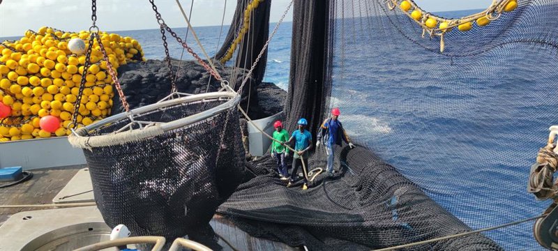 La flota atunera española, la primera del mundo en recibir el sello MSC para el 'stock' de rabil del Índico | OPAGAC ep la flota atunera espanola la primera del mundo en recibir el sello msc para el stock de rabil del