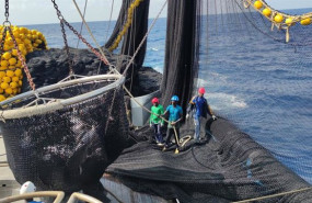 ep la flota atunera espanola la primera del mundo en recibir el sello msc para el stock de rabil del