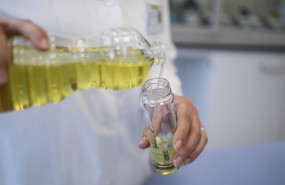 ep las ventas de aceite de oliva envasados alcanzaron los 295 millones de litros hasta agosto un 89
