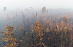 ep los incendiossiberiaemergencia climatica